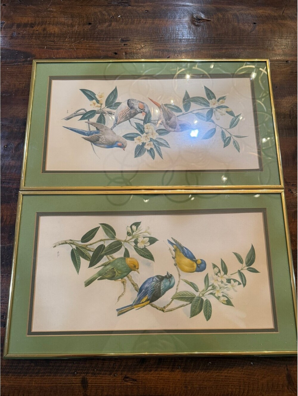 Pair of Vintage Botanical Bird Prints with Green Matting and Gold Frames